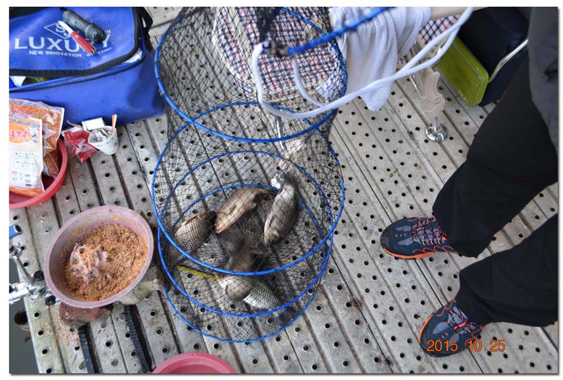 Untitled-1 copy 27.jpg