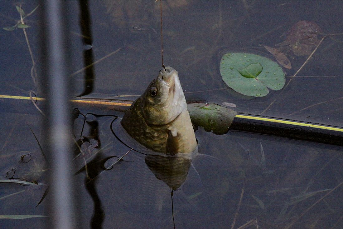 �ٹ̱�_15��10��21�� 591.jpg