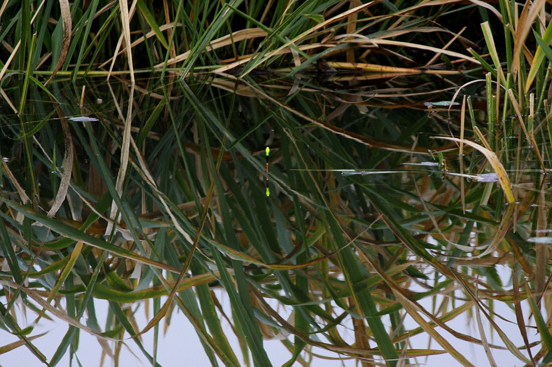 �ٹ̱�_15��10��21�� 597.jpg