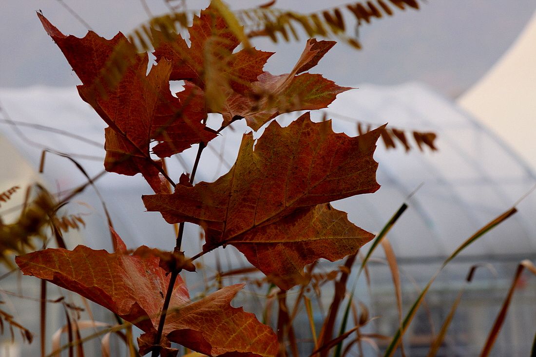 �ٹ̱�_15��10��21�� 609.jpg