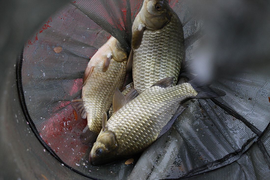 �ٹ̱�_15��10��21�� 612.jpg