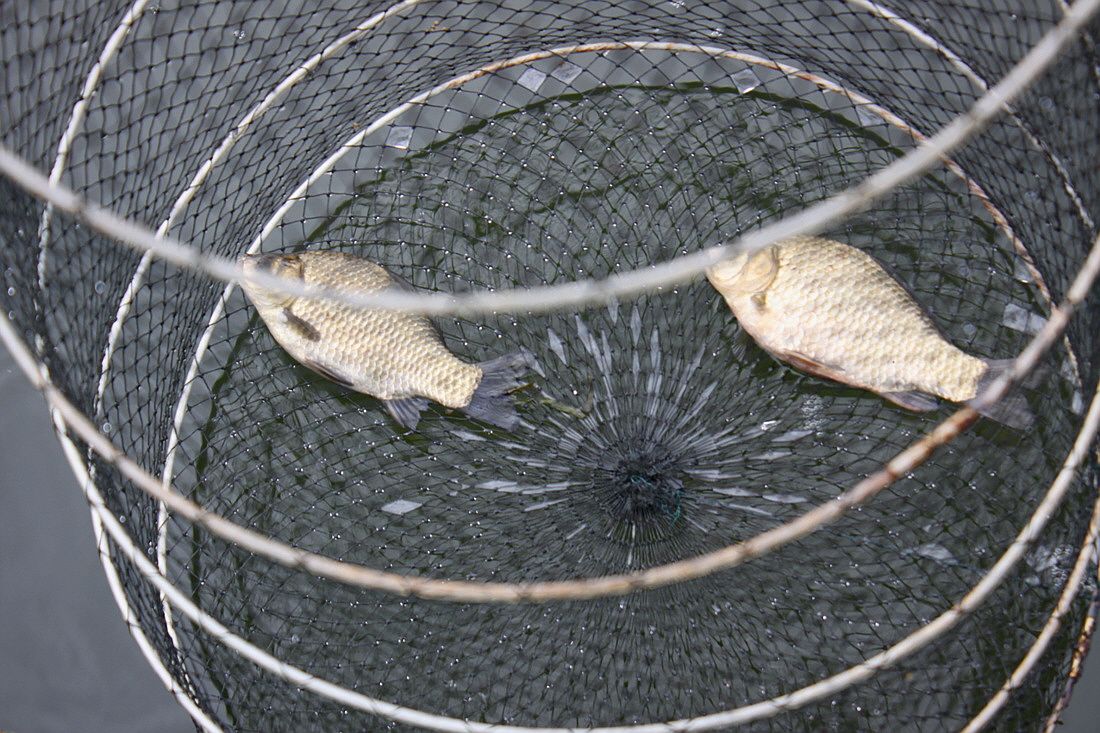 �ٹ̱�_15��10��21�� 622.jpg