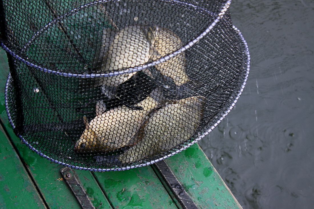 �ٹ̱�_15��10��21�� 627.jpg