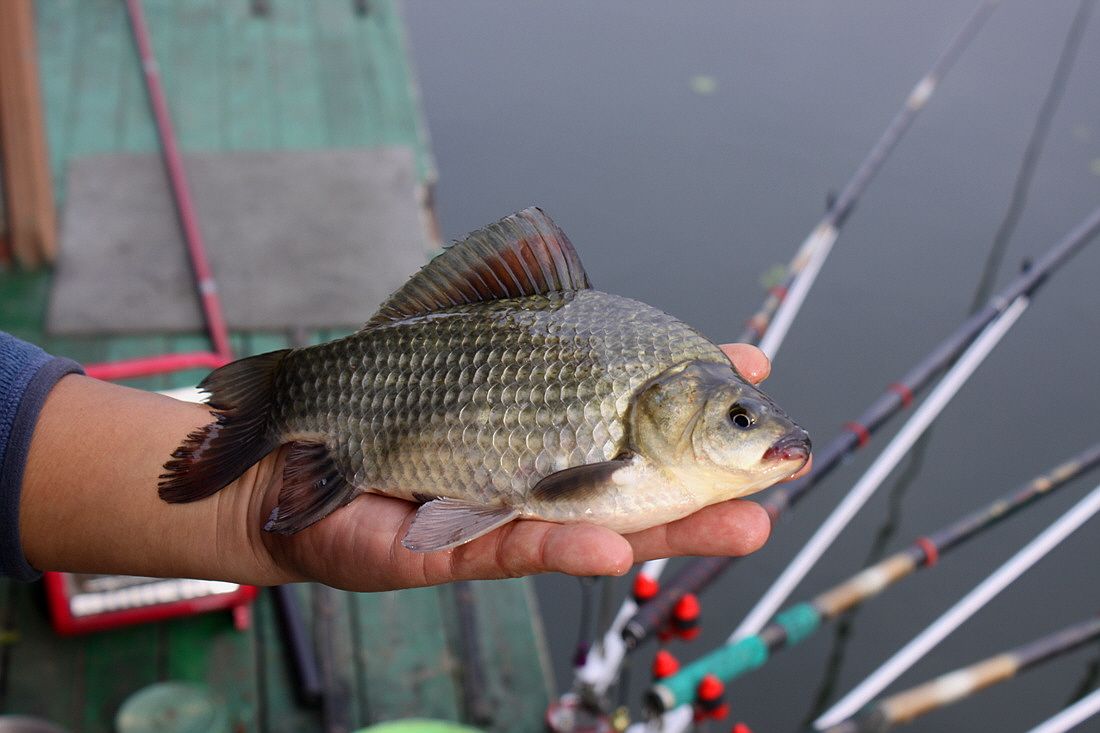 �ٹ̱�_15��10��21�� 639.jpg