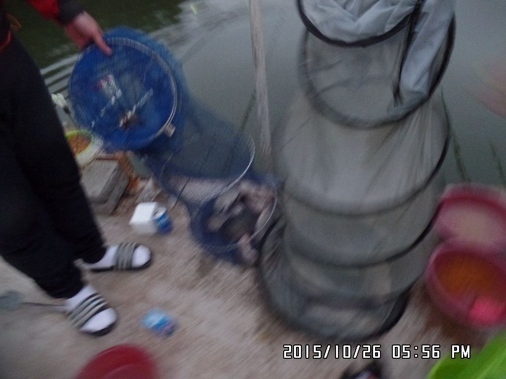 SAM_0330.JPG