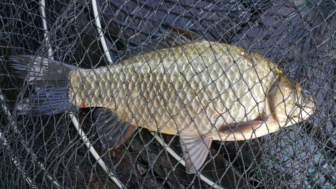 20151024_104359.jpg