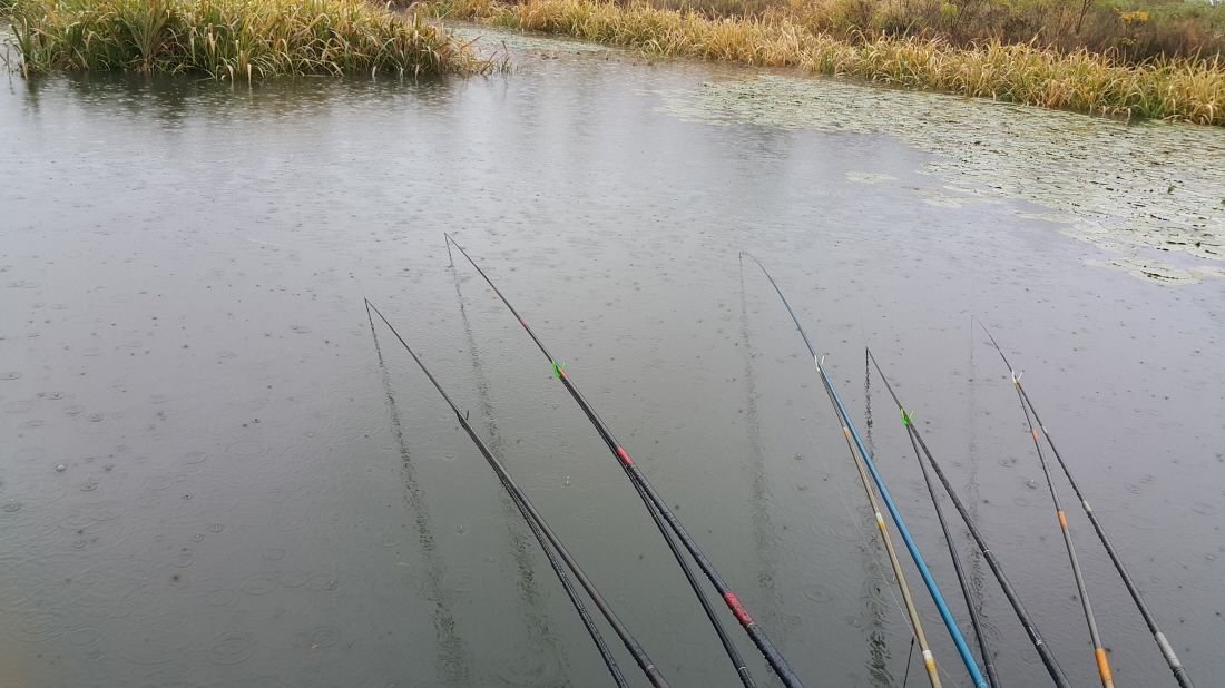 20151027_083747.jpg