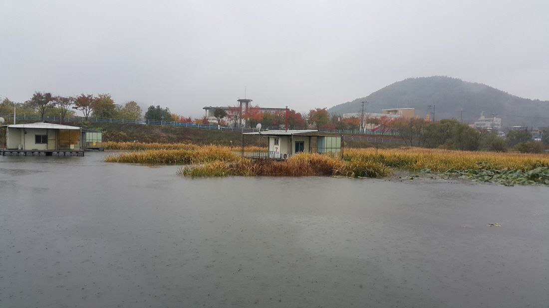 20151027_083821.jpg