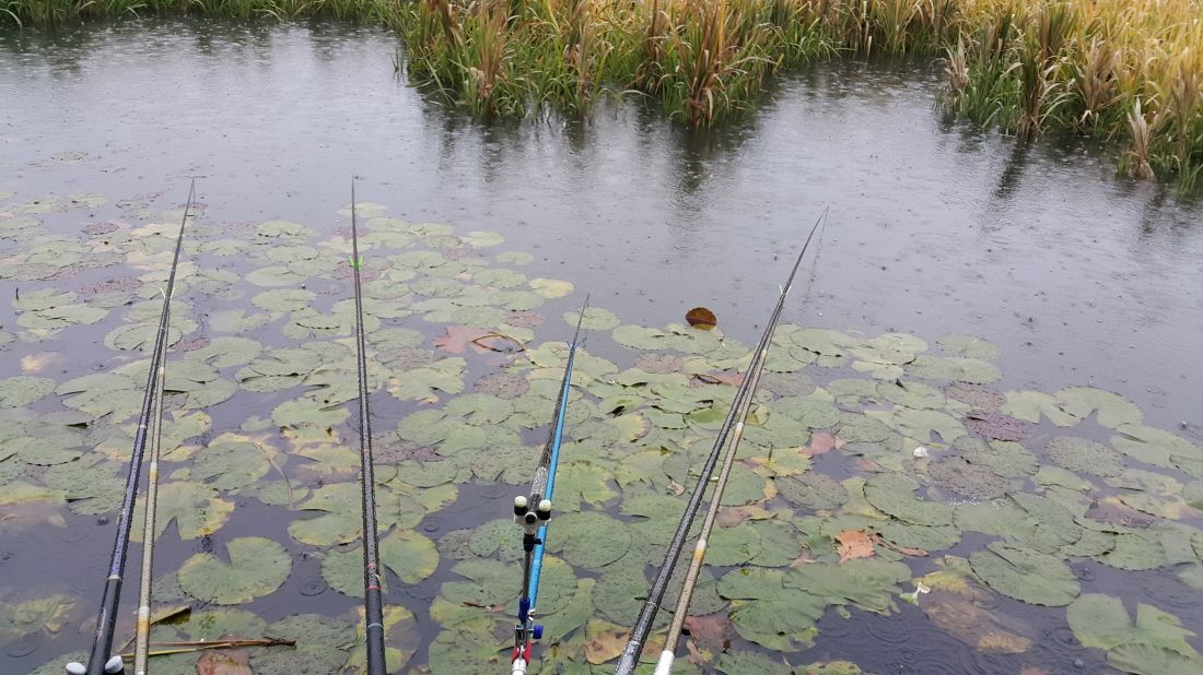 20151027_083956.jpg