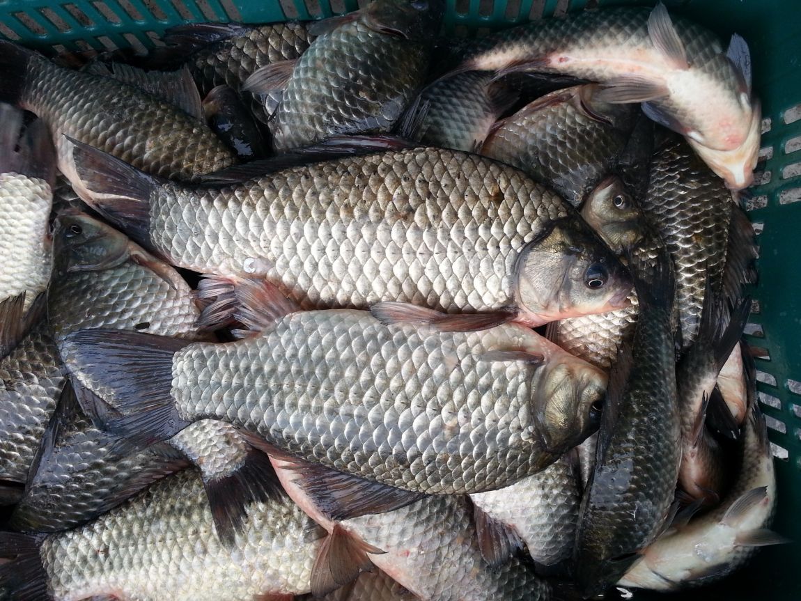 20151027_100736.jpg