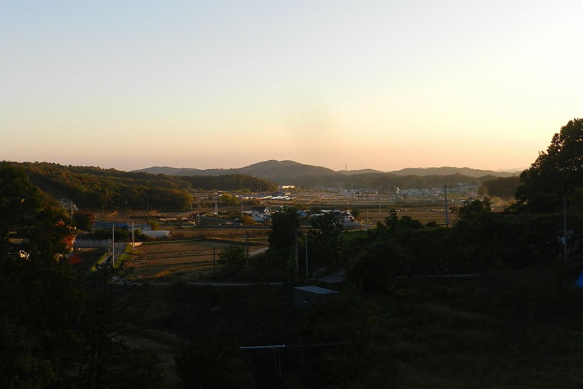 032.JPG