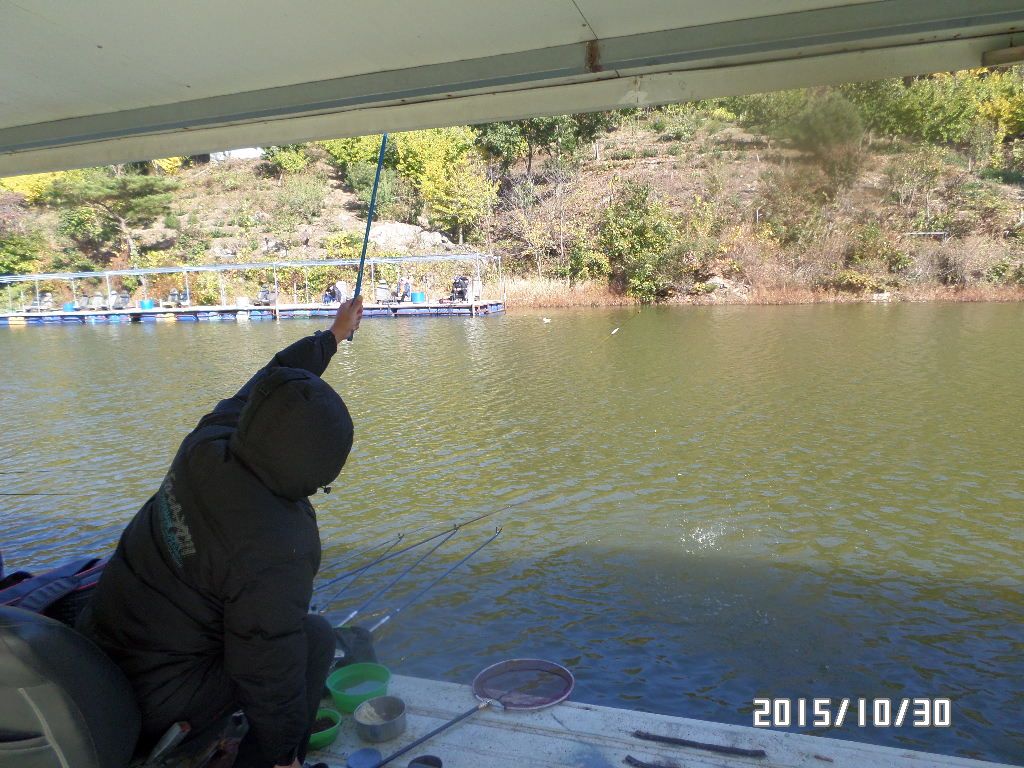 SAM_0951.JPG