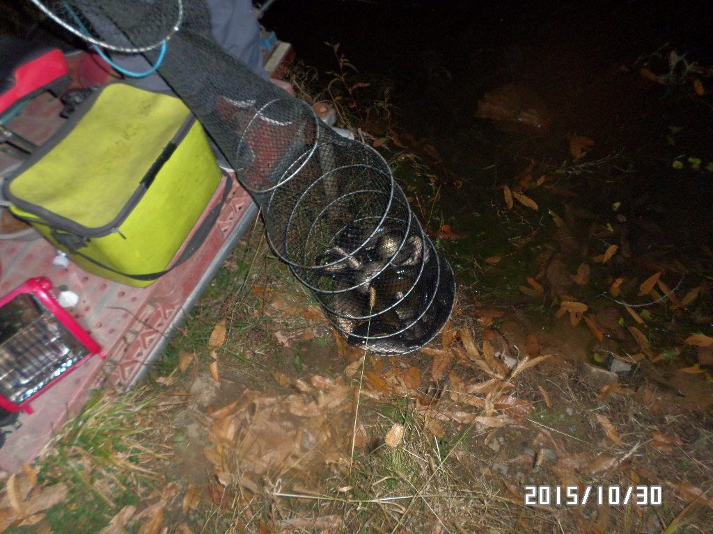 SAM_0965.JPG