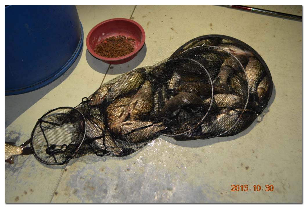 Untitled-2 copy 2.jpg