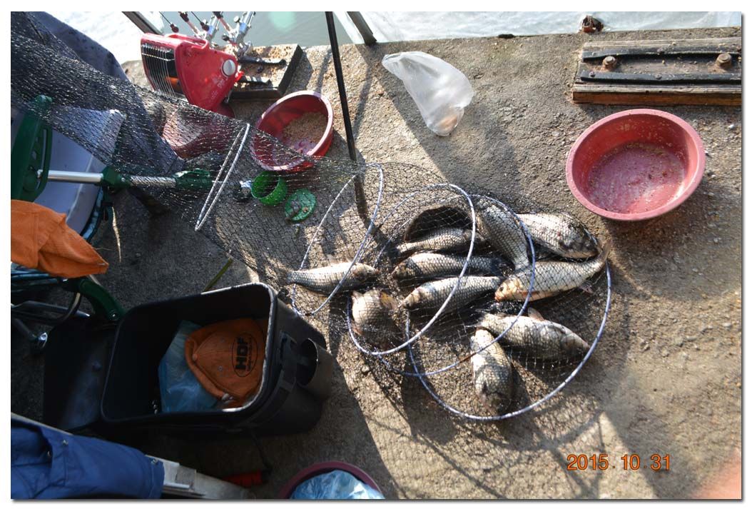 Untitled-2 copy 3.jpg