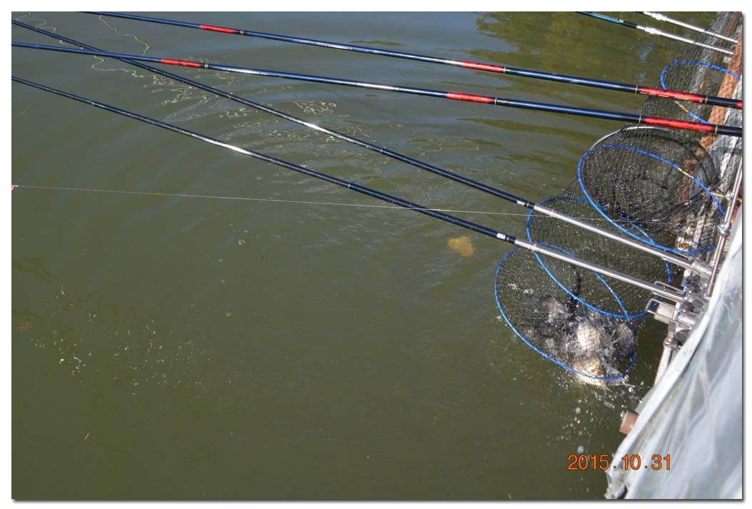 Untitled-2 copy 4.jpg