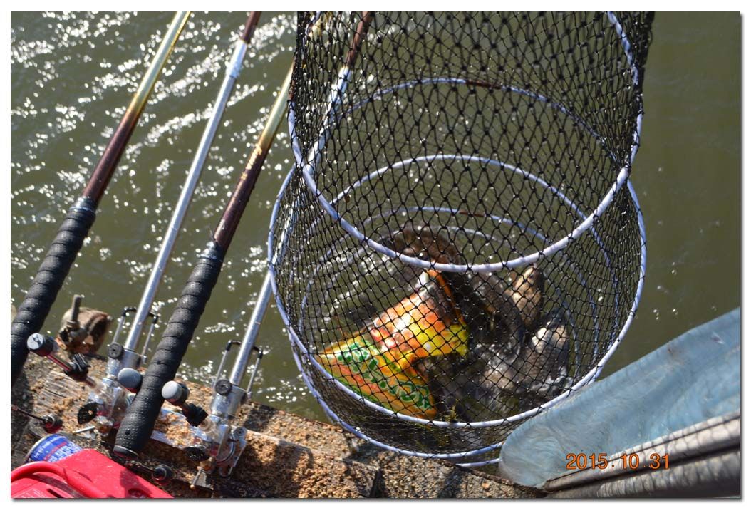 Untitled-2 copy 6.jpg