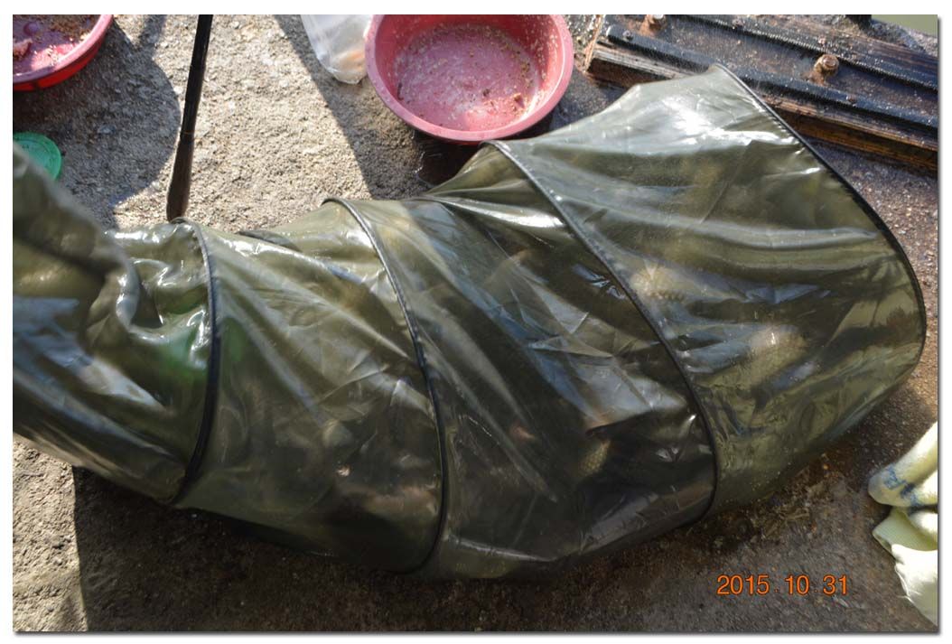 Untitled-2 copy 7.jpg