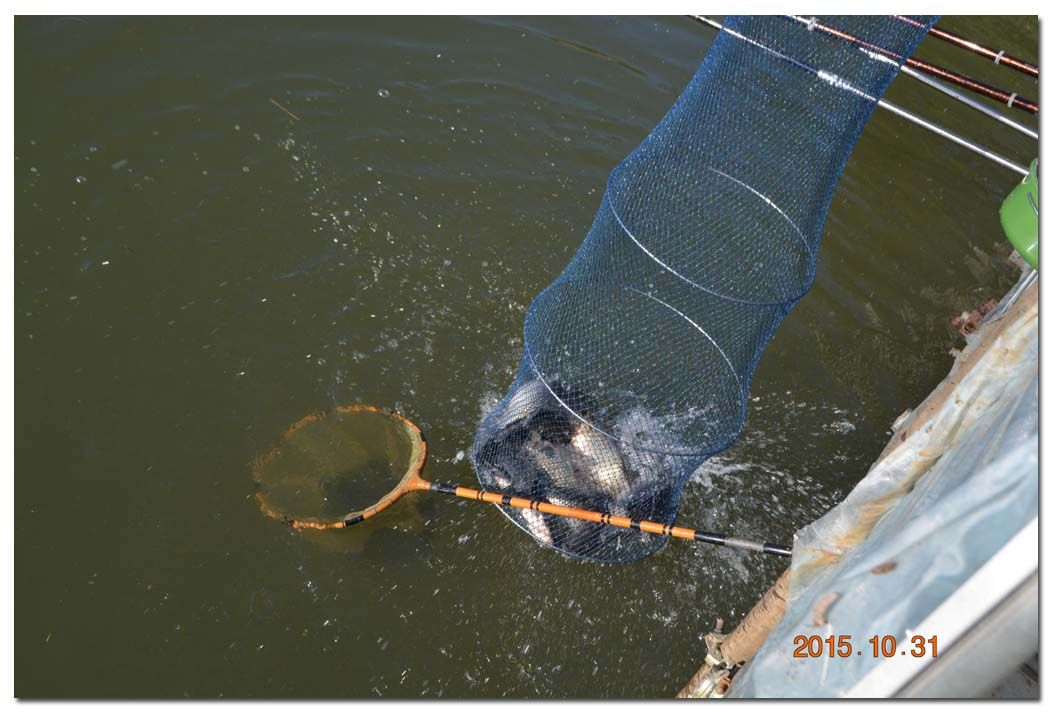 Untitled-2 copy 5.jpg