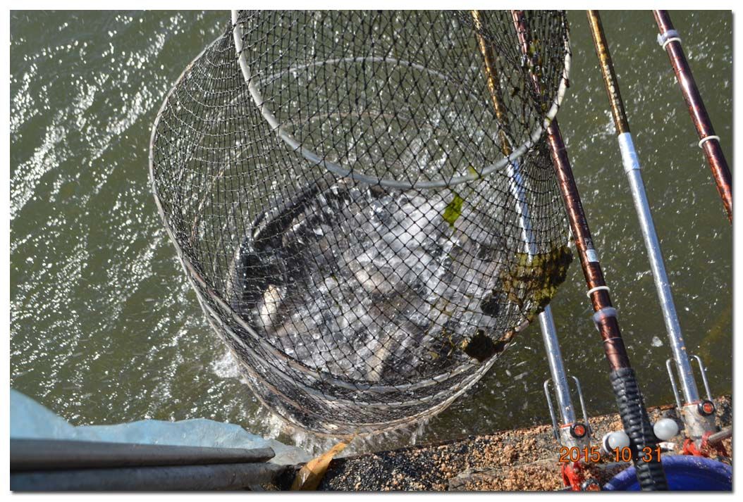 Untitled-2 copy 8.jpg