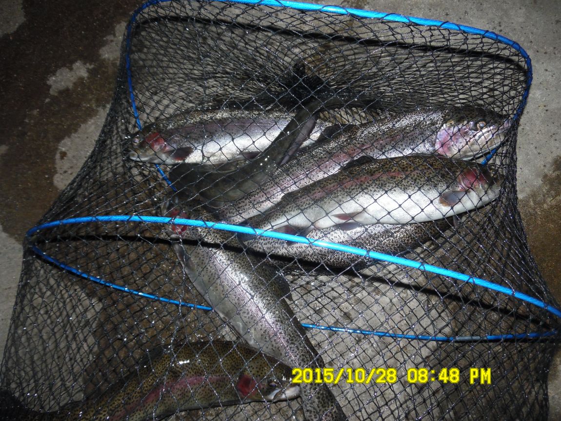 10��28��~31�� 001.JPG