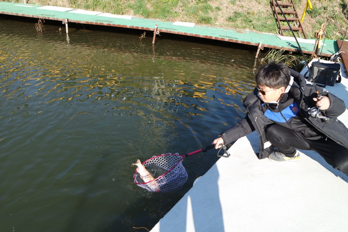 SAM_0546 - ���纻 - ���纻 - ���纻.JPG