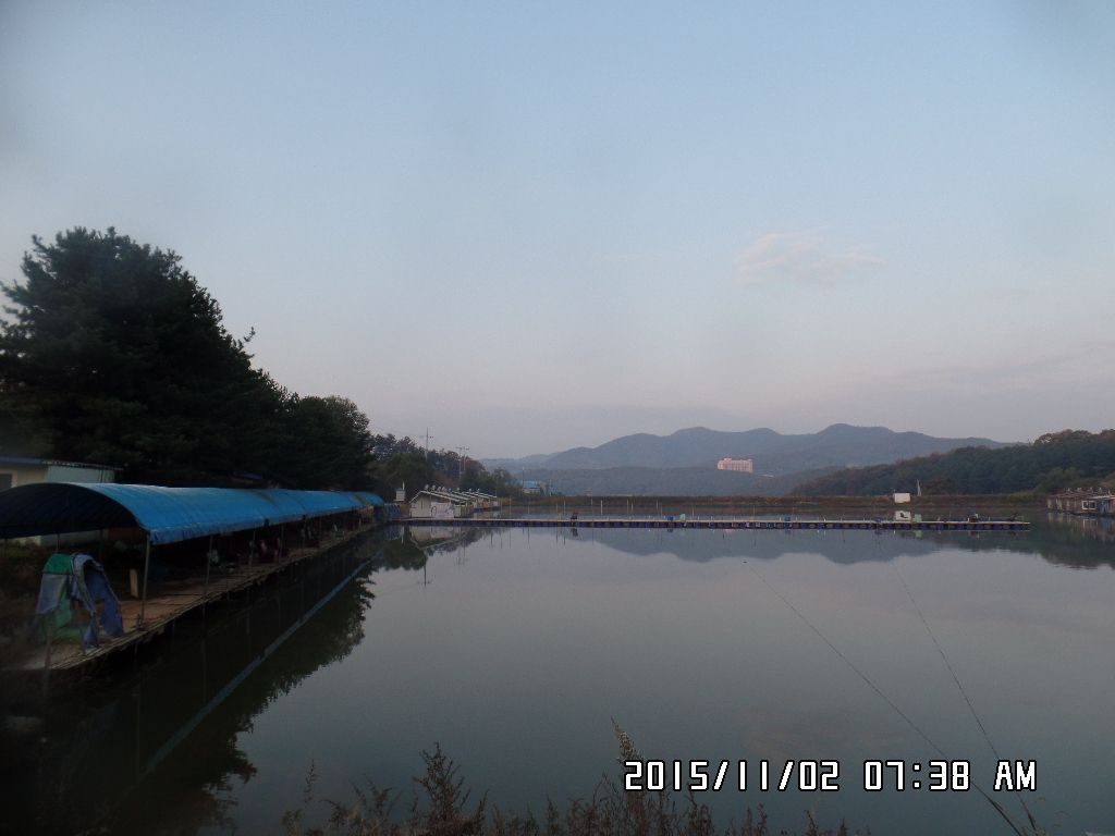SAM_0487.JPG