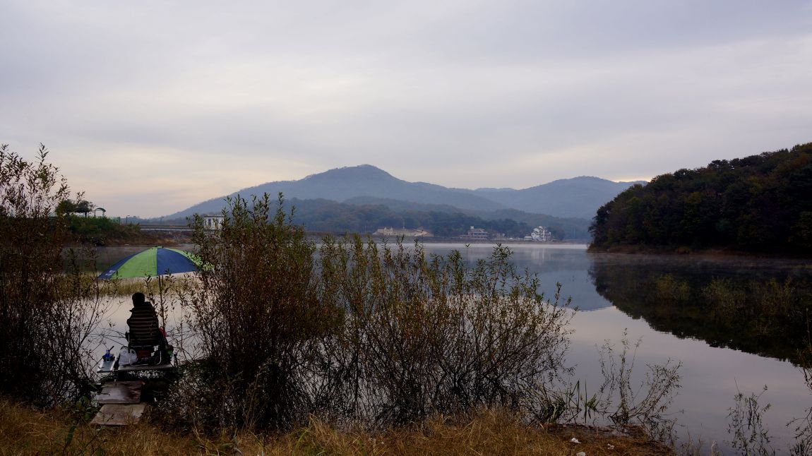DSC01788-d.jpg