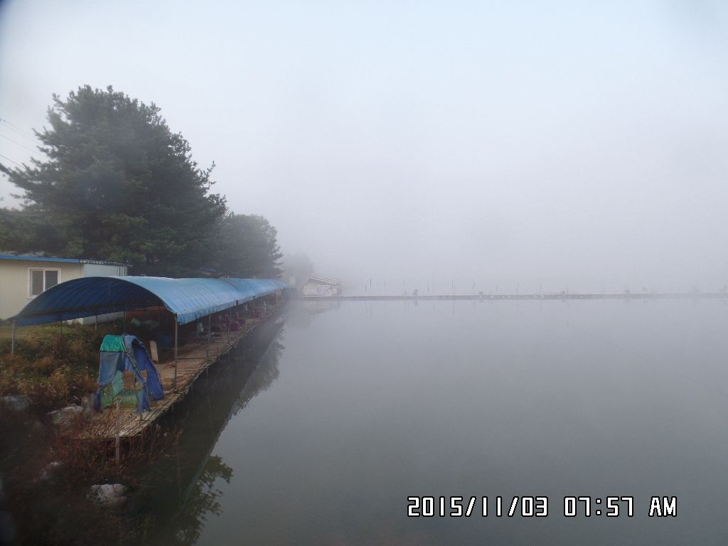SAM_0511.JPG