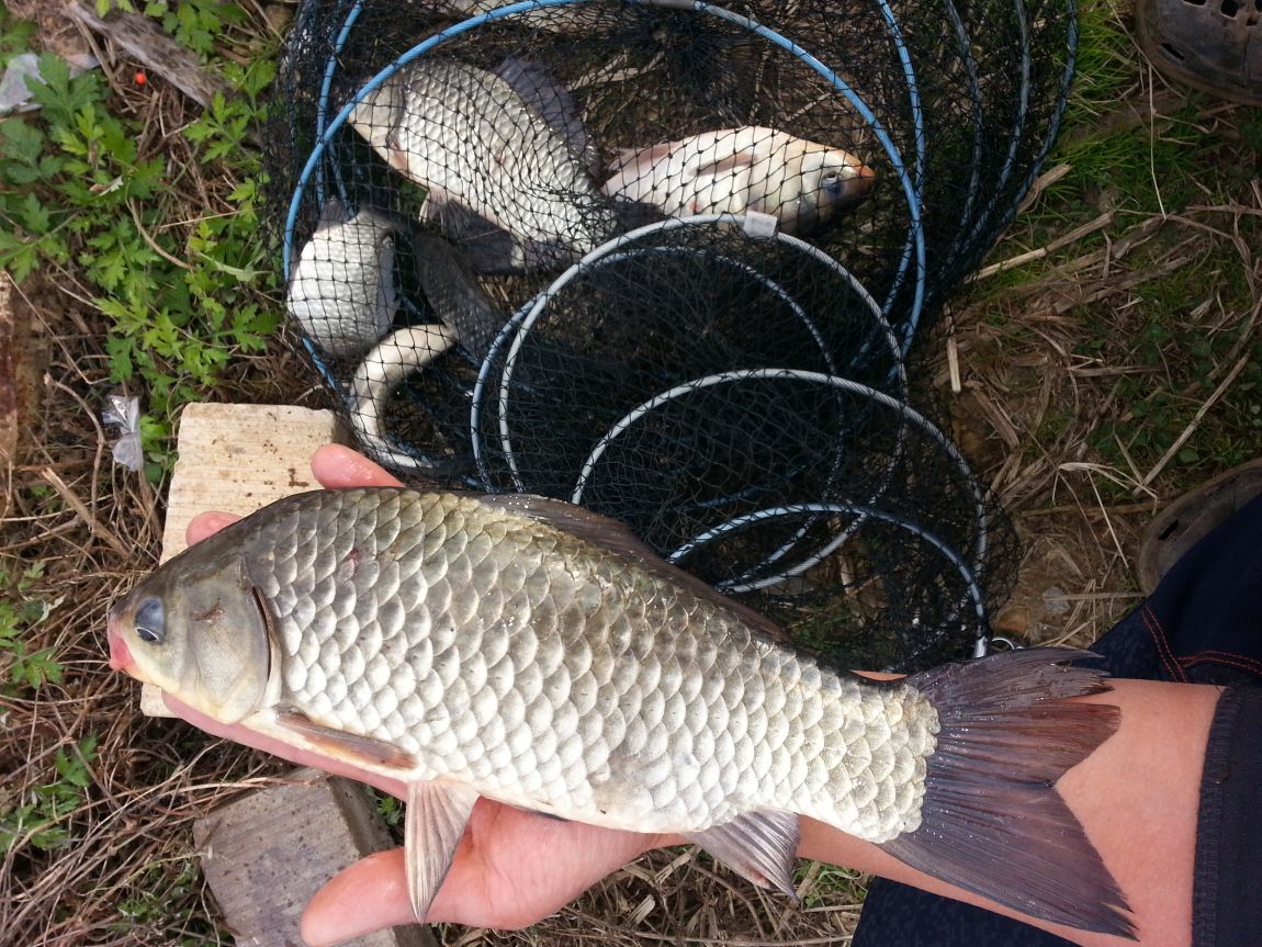 20151101_085637.jpg