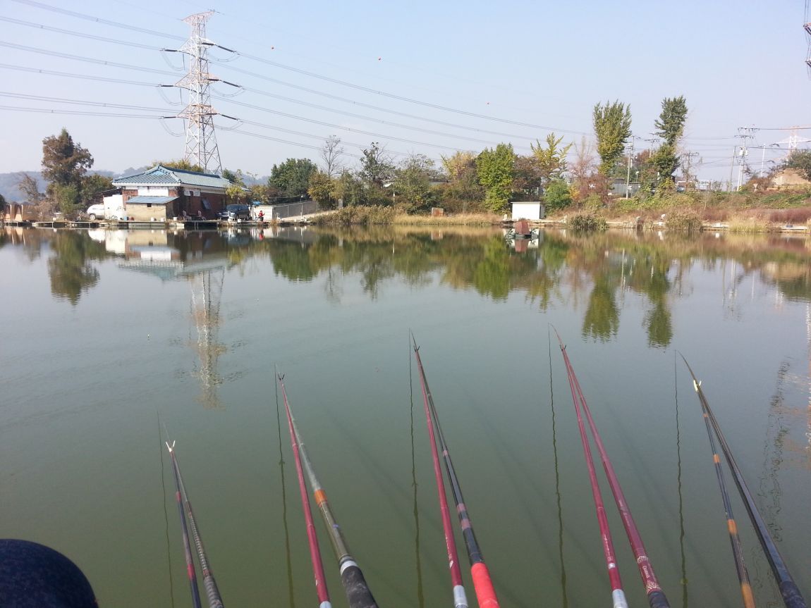 20151102_114206.jpg