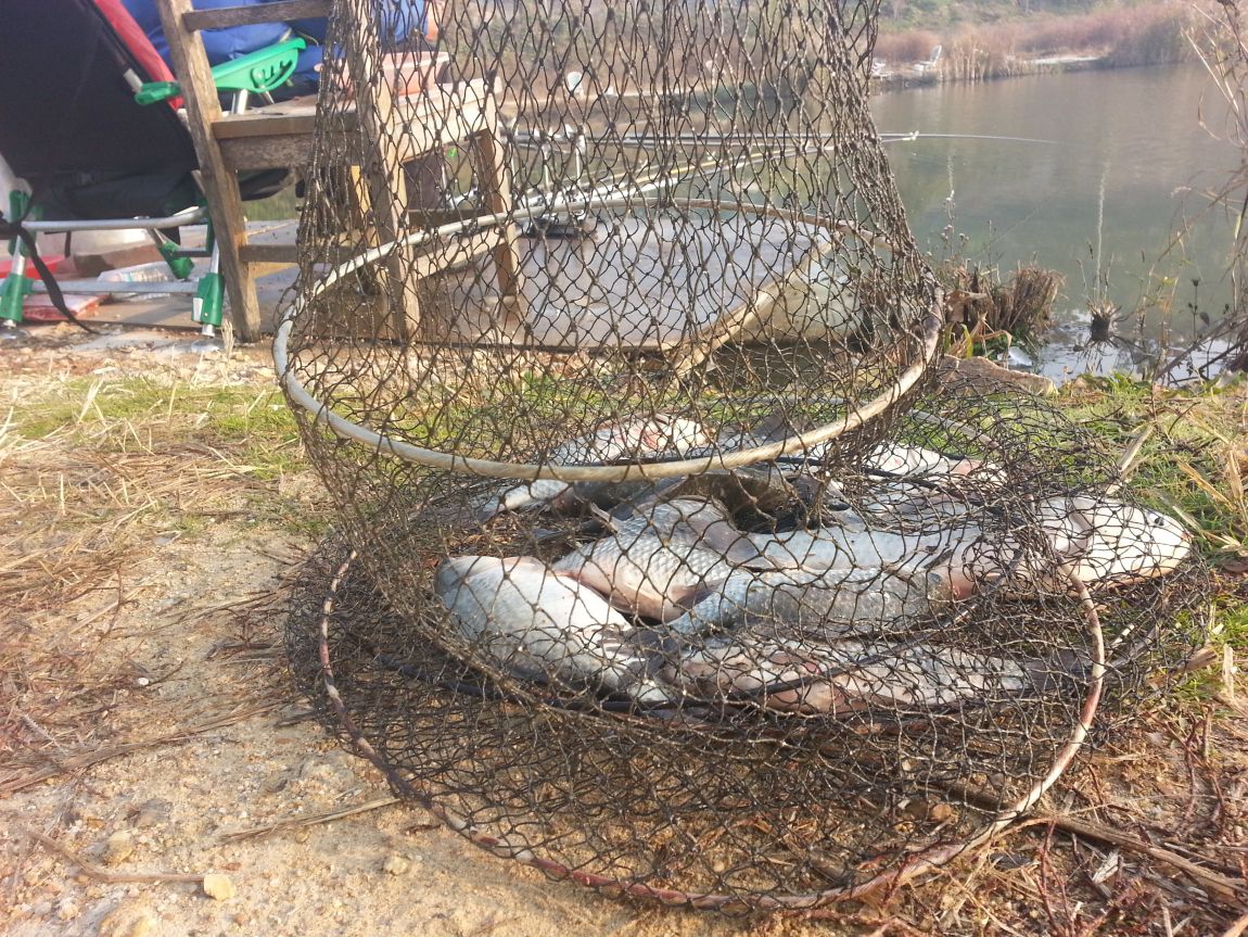 20151103_083912.jpg