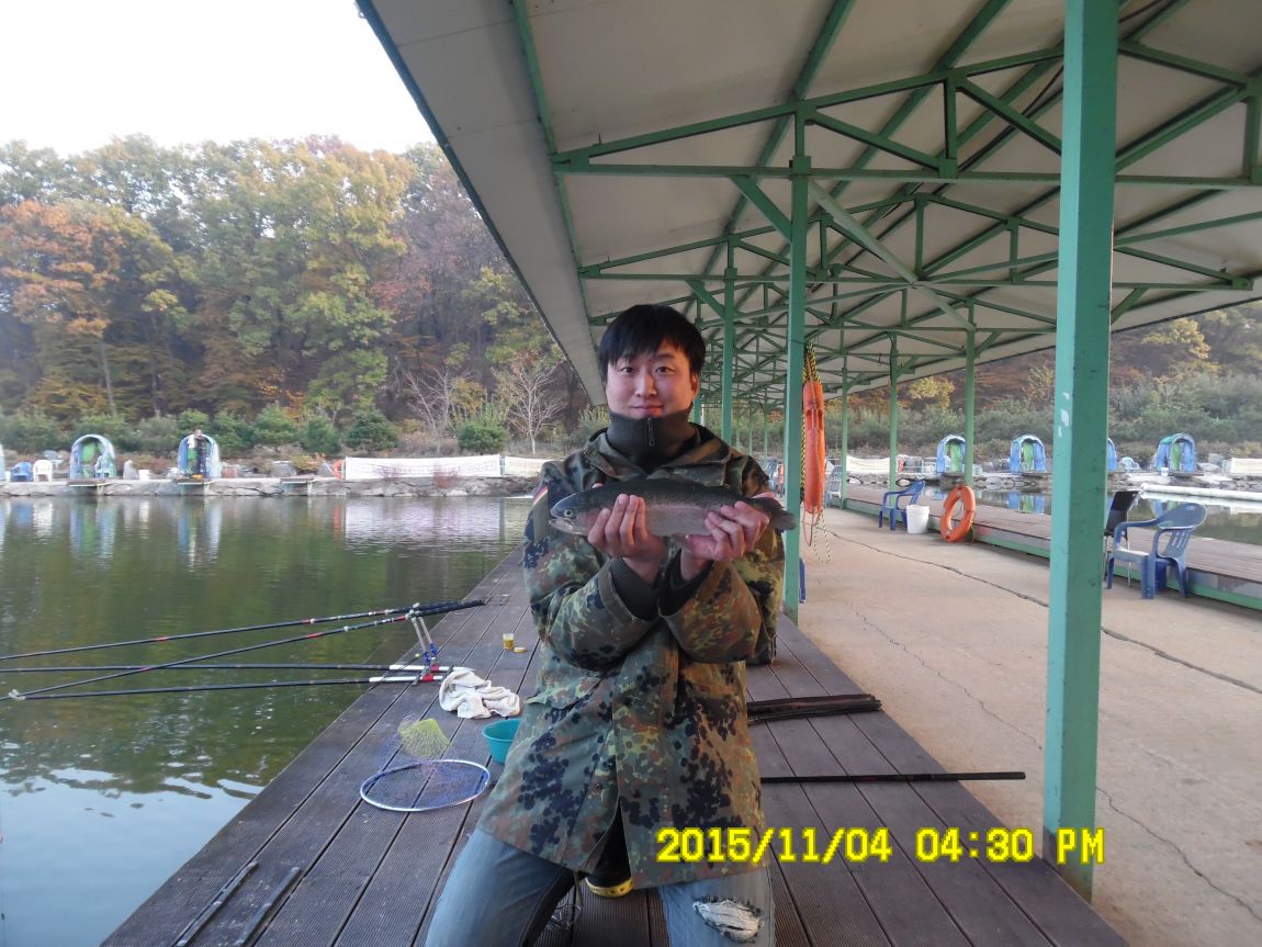 113~5 012.JPG