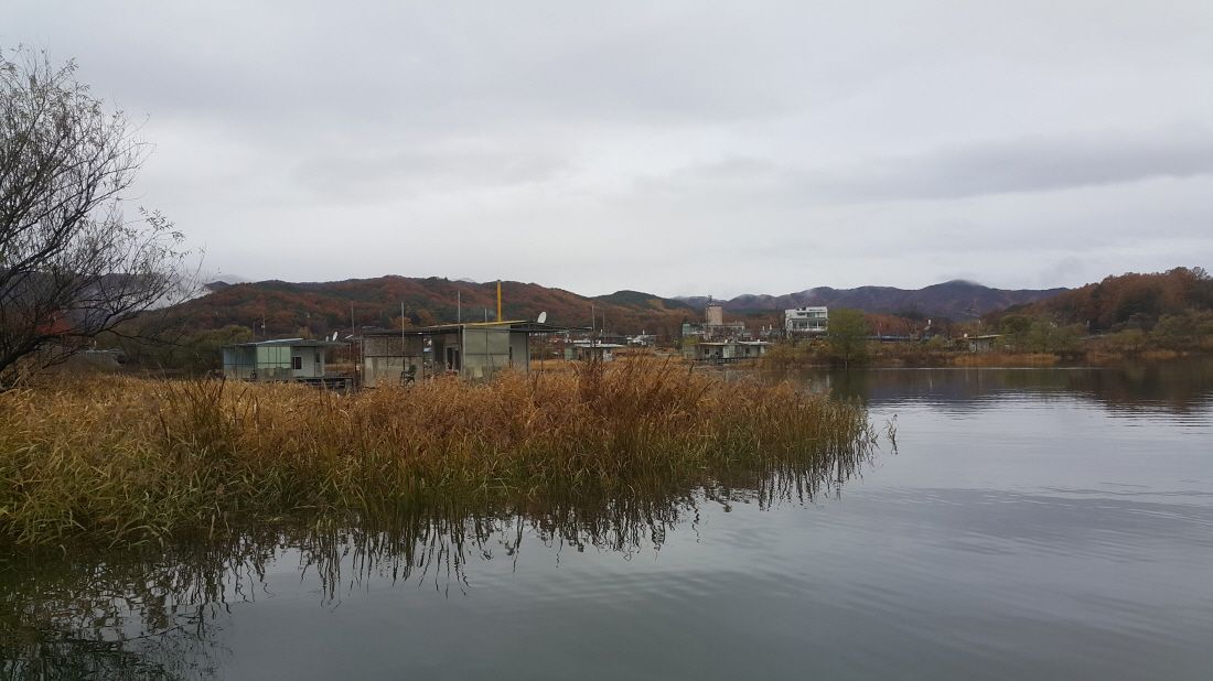 20151109_090843.jpg