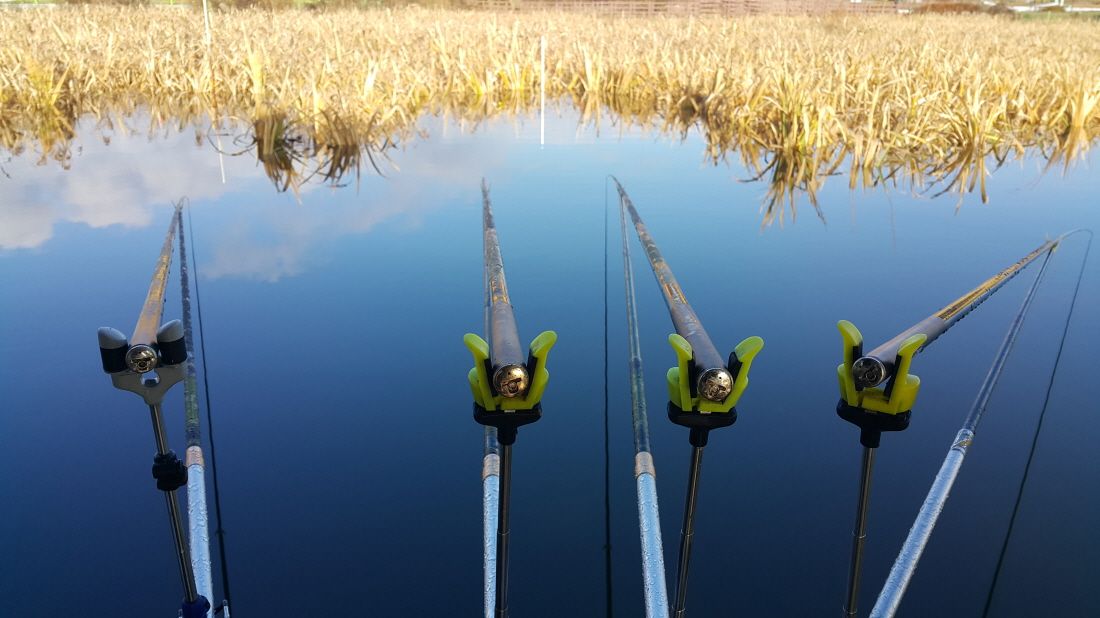 20151110_085656.jpg