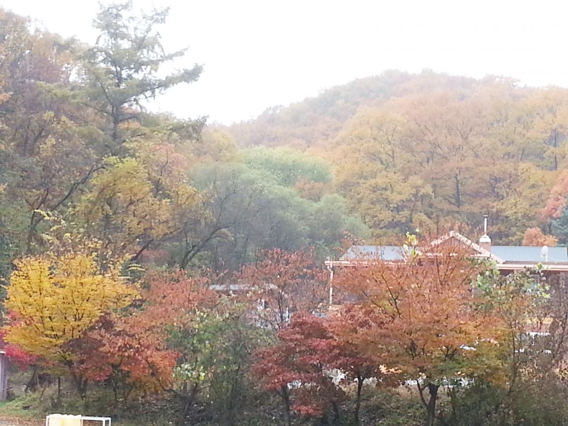 20151108_110911.jpg