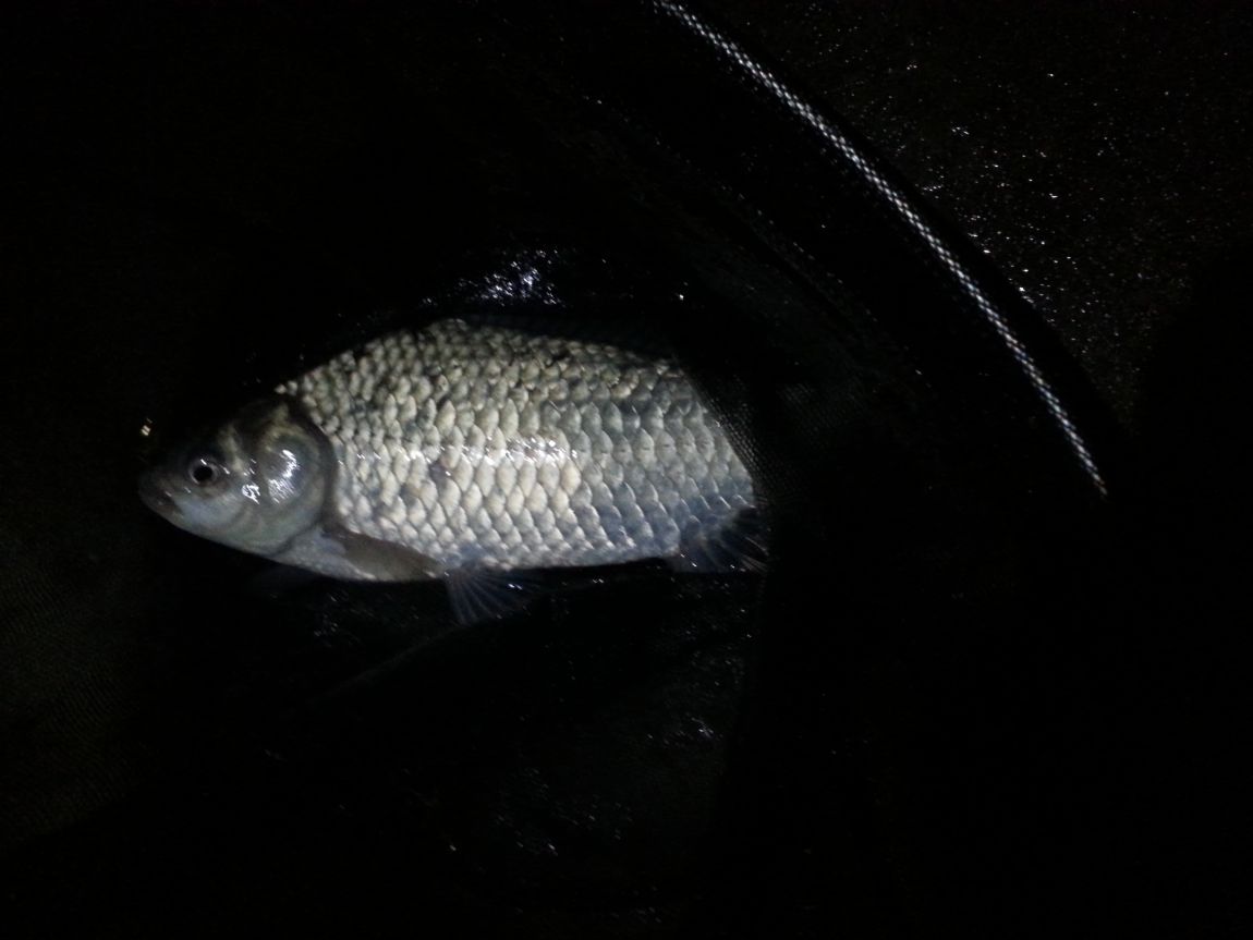 20151108_203553.jpg