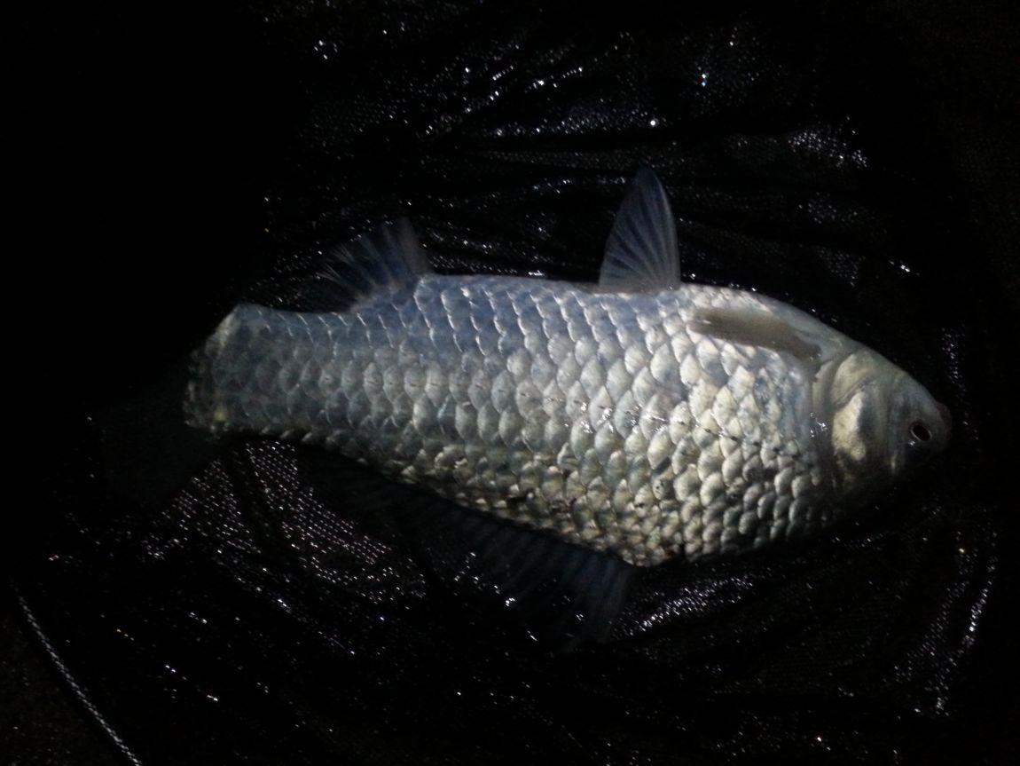 20151108_203611.jpg