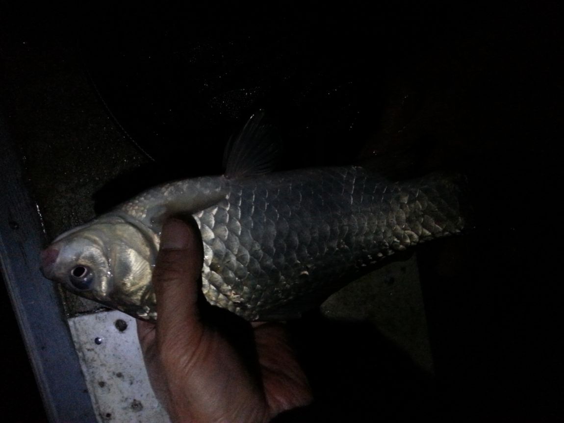 20151108_203648.jpg
