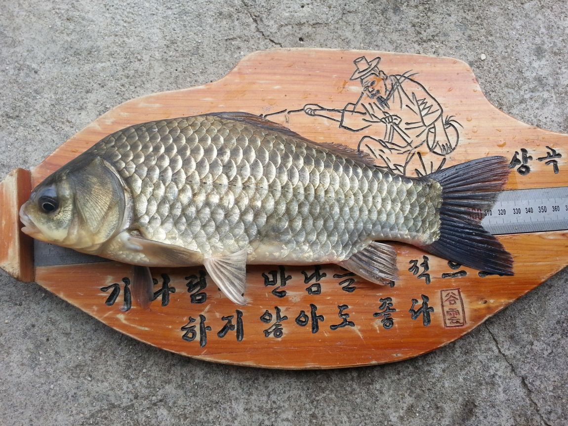 20151110_122540.jpg