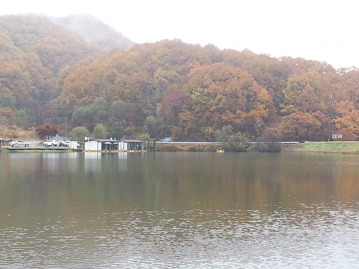 20151108_110651.jpg