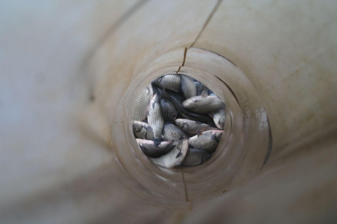 SAM_6502.JPG
