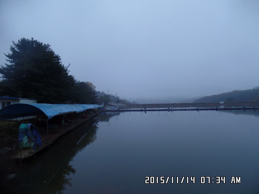 SAM_0764.JPG