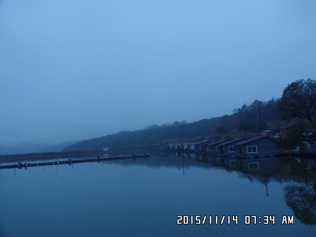 SAM_0765.JPG