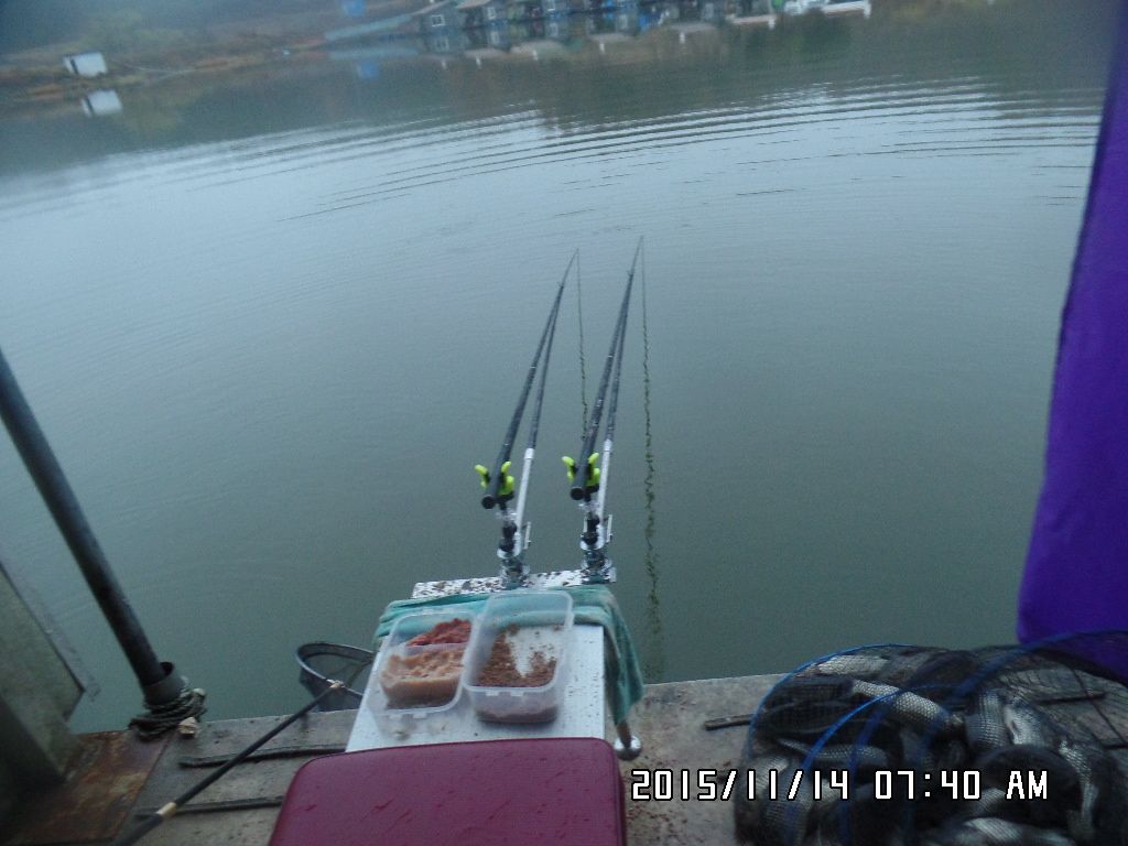 SAM_0769.JPG