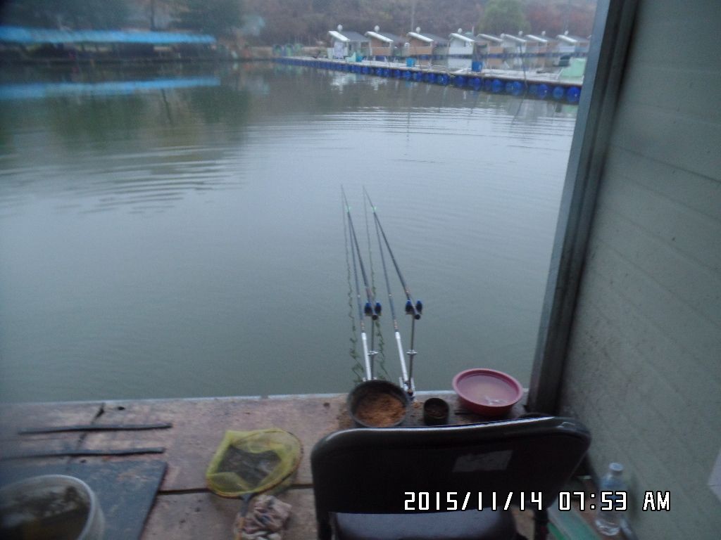 SAM_0782.JPG