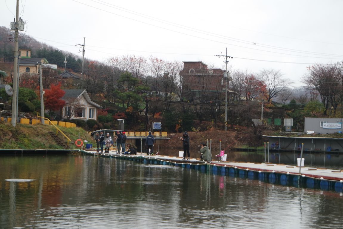 SAM_0609.JPG