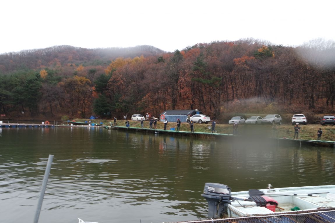 SAM_0617.JPG