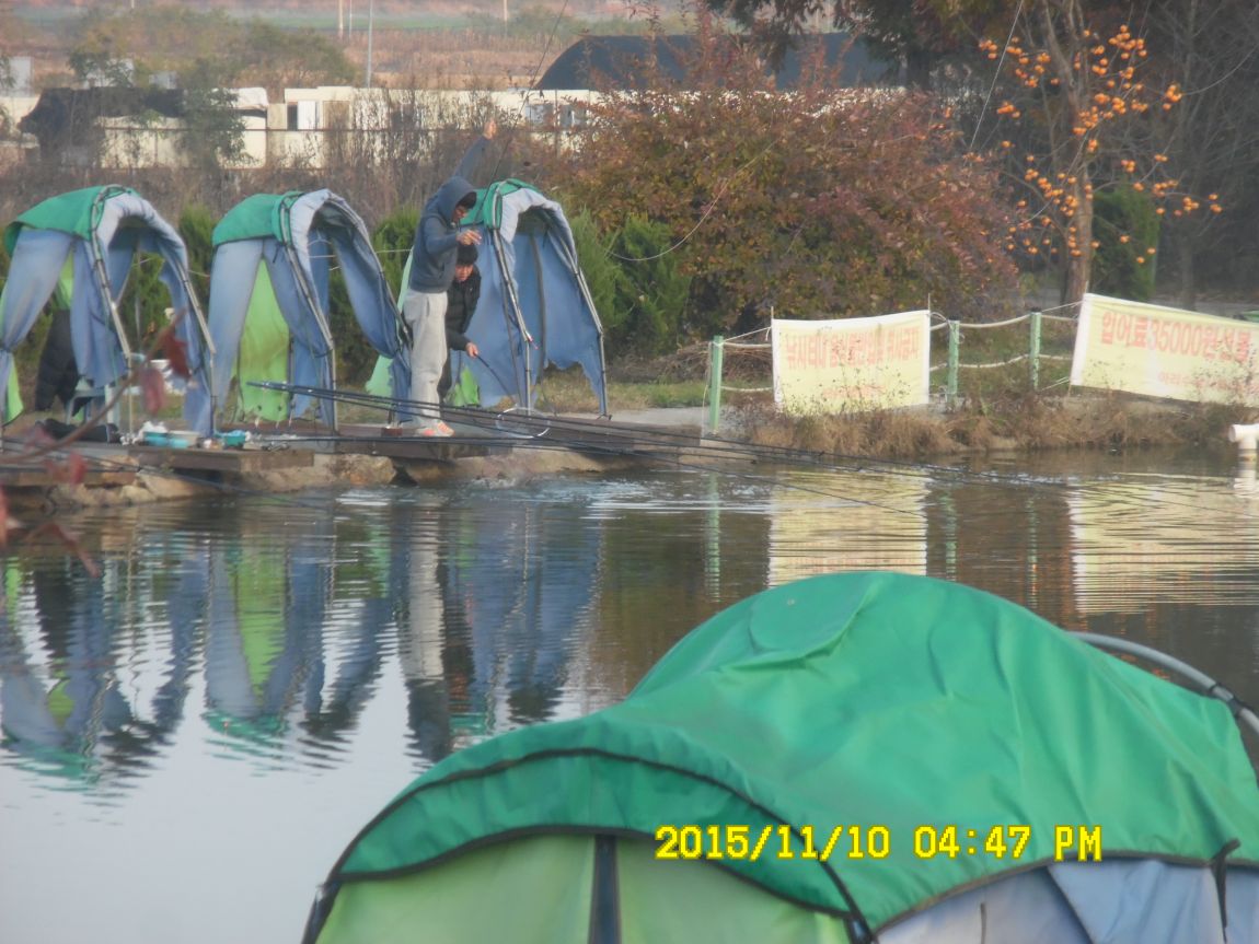 1114 012.JPG