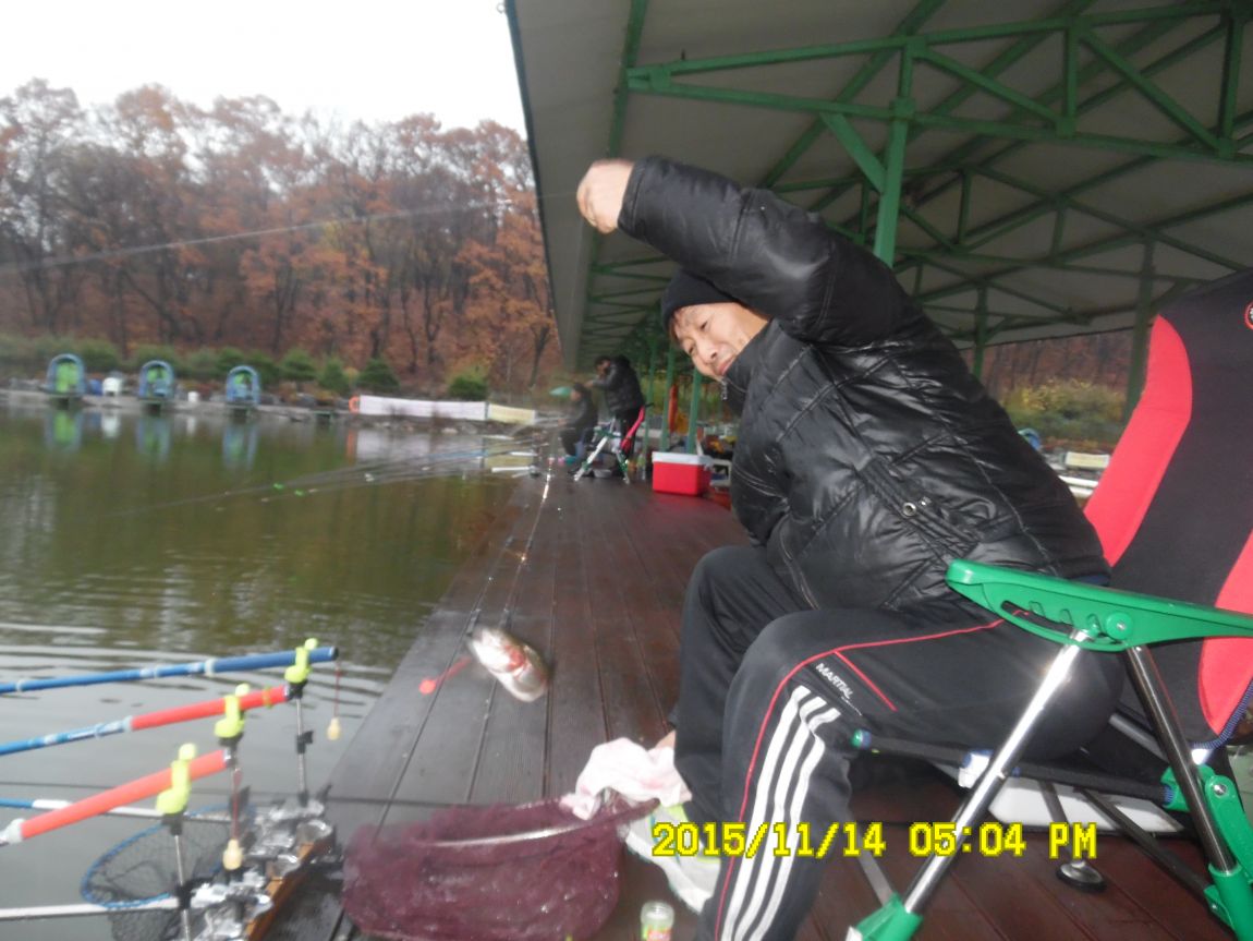 1114 032.JPG